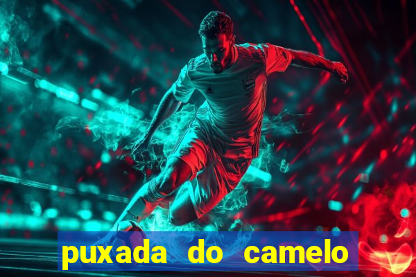 puxada do camelo no jogo do bicho